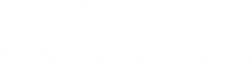 Logo Marques da Silveira